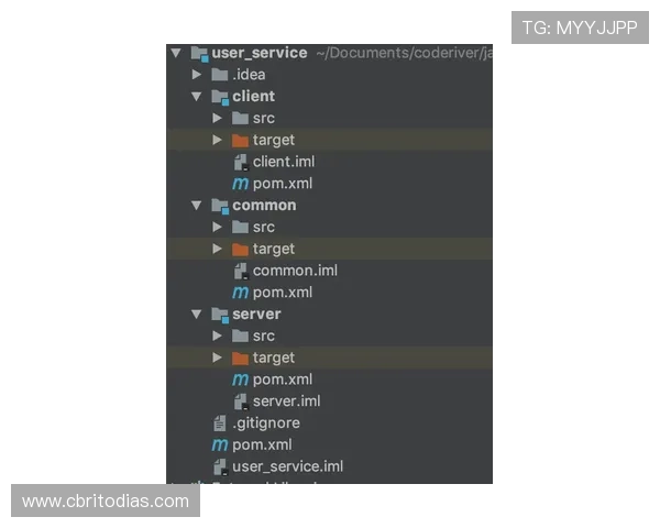 PlayAce视讯如何优化用户体验：提升游戏流畅度与互动性的实用建议